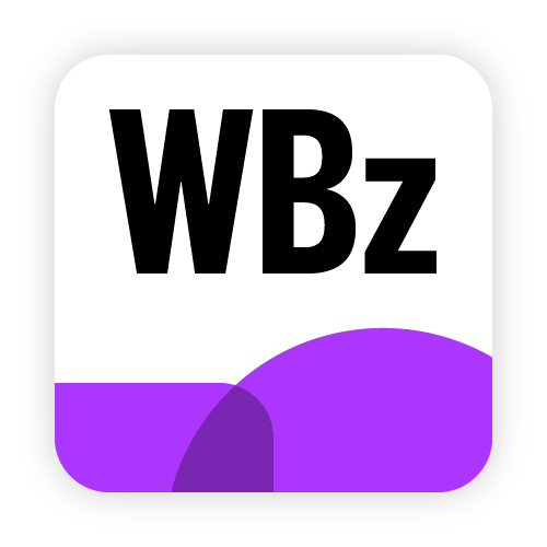 Winner Bizz